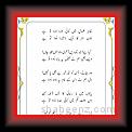Zahir e Shamal 01 * 22.03.2008 * 399 x 608 * (36KB)